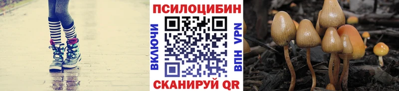 маркетплейс телеграм Балахна Галлюциногенные грибы Psilocybine cubensis купить наркотик