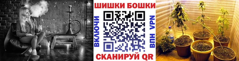 Каннабис сатива Балахна